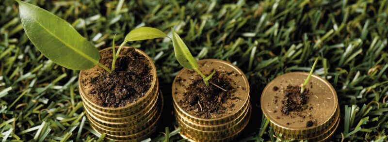 Legge di Bilancio 2020: maggiori agevolazioni su Sabatini per investimenti green